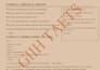 be your creative ghostwriter or story evaluator